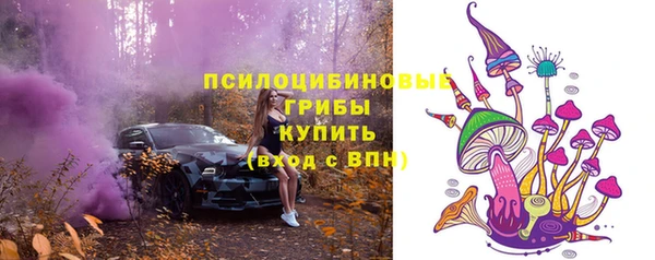 ГАЛЛЮЦИНОГЕННЫЕ ГРИБЫ Арсеньев