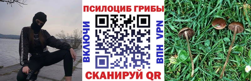 Псилоцибиновые грибы Magic Shrooms  Купить  Уварово 